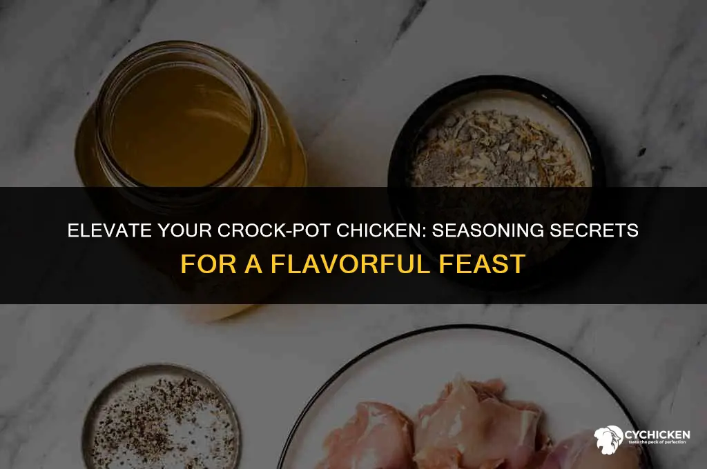 what seasoning should i put in my crock-pot chicken