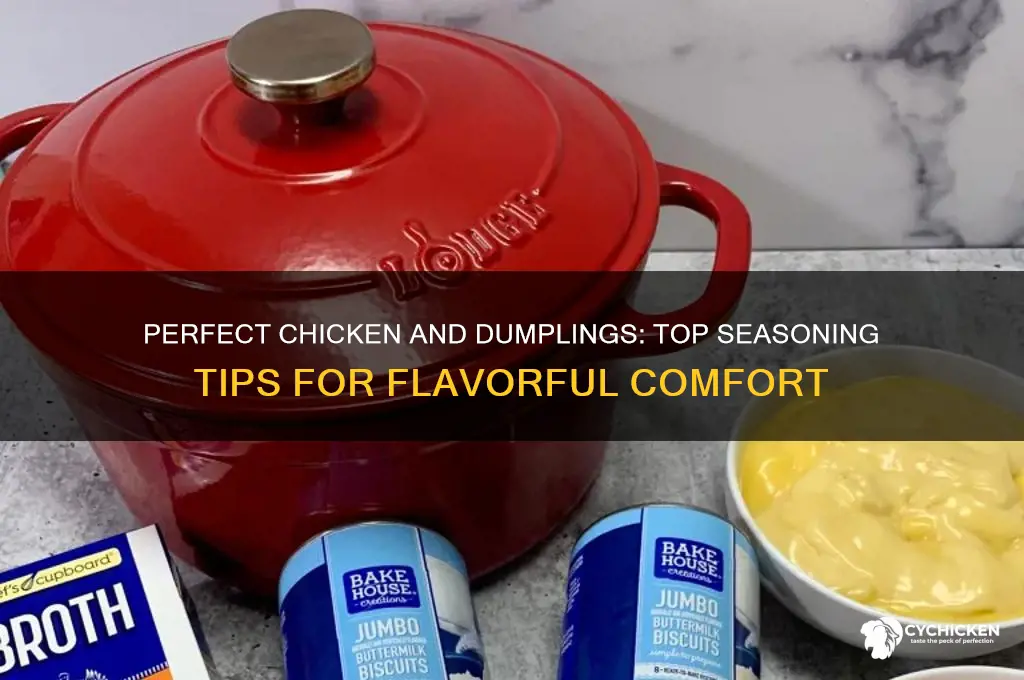 what seasoning to put in chicken and dumplings