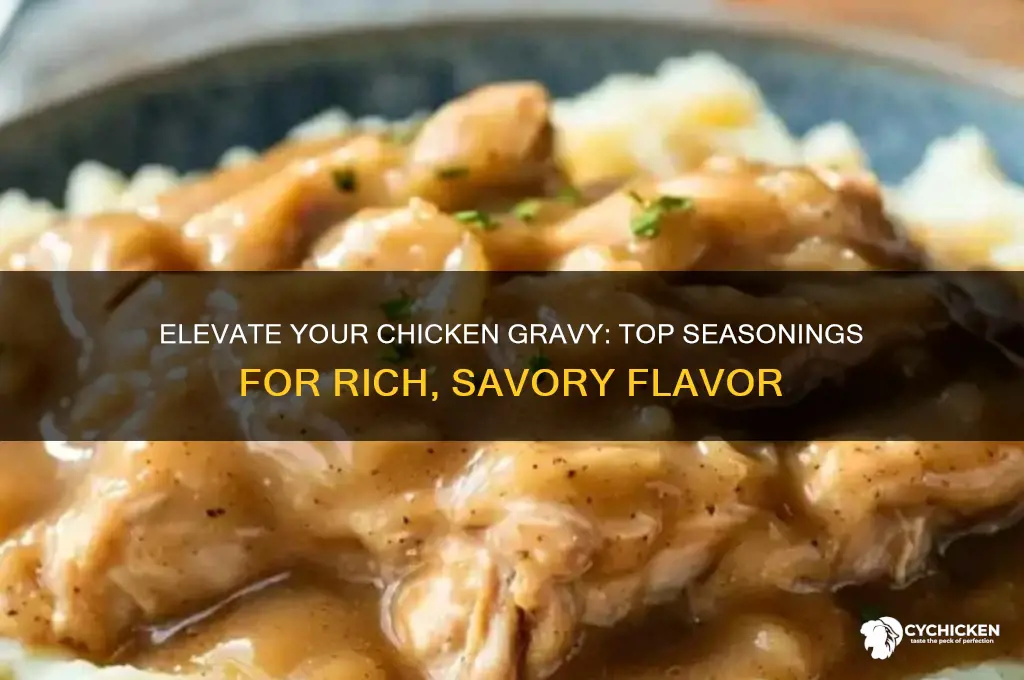 what seasoning to put in chicken gravy