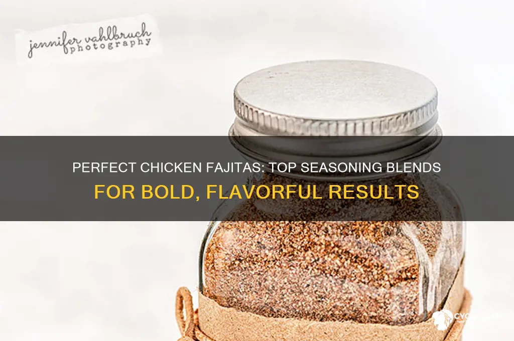 what seasoning to put on chicken fajitas