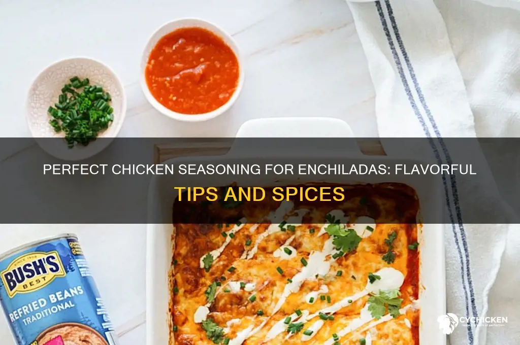 what seasoning to put on chicken for enchiladas