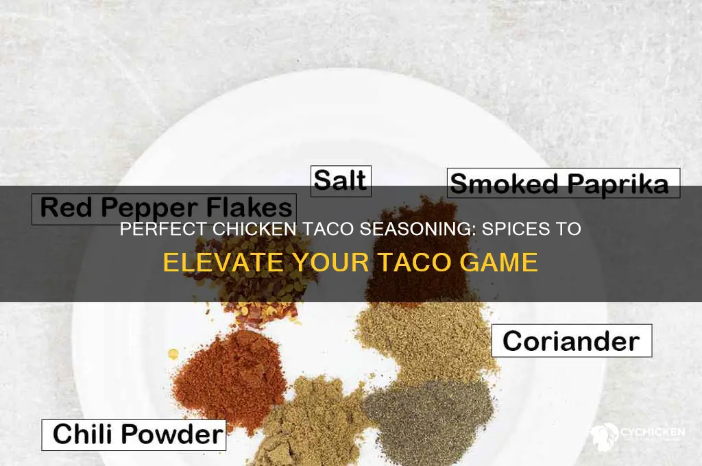 what seasoning to put on chicken tacos