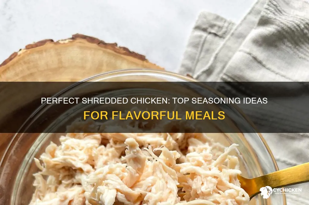 what seasoning to put on shredded chicken