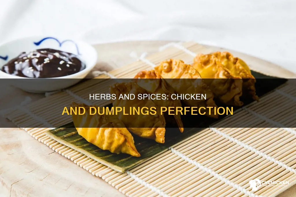 what seasonings cna you put in chicken and dumplings3