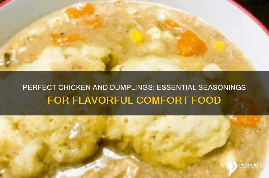 what seasonings go in chicken and dumplings
