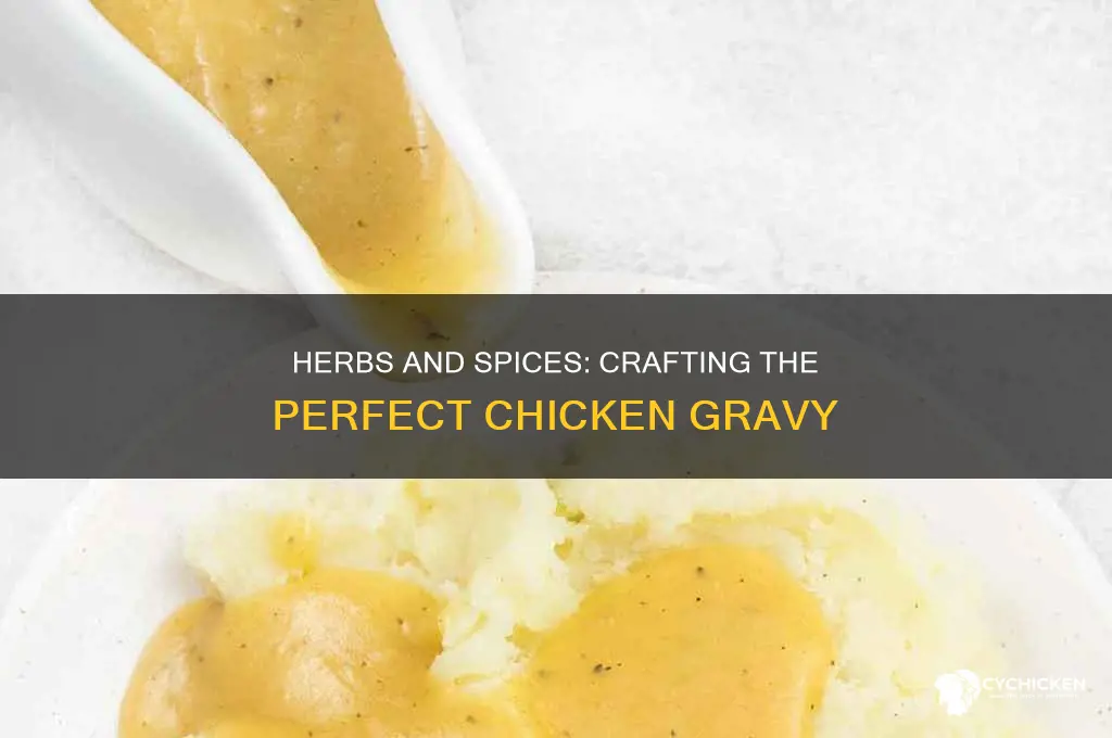 what seasonings should i add to my chicken gravy