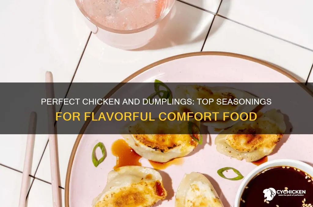 what seasonings taste best in chicken and dumplins