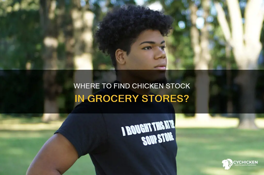 what section of store is store bought chicken stock