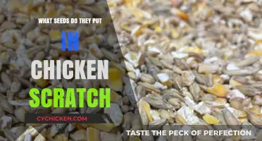 What Seeds Are in Chicken Scratch? A Complete Feed Breakdown