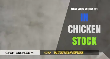 Unveiling the Secret: Seeds Commonly Added to Chicken Stock