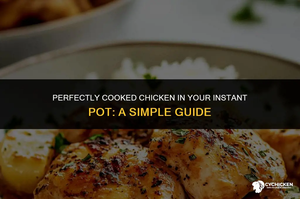 what setting for chicken in instant pot