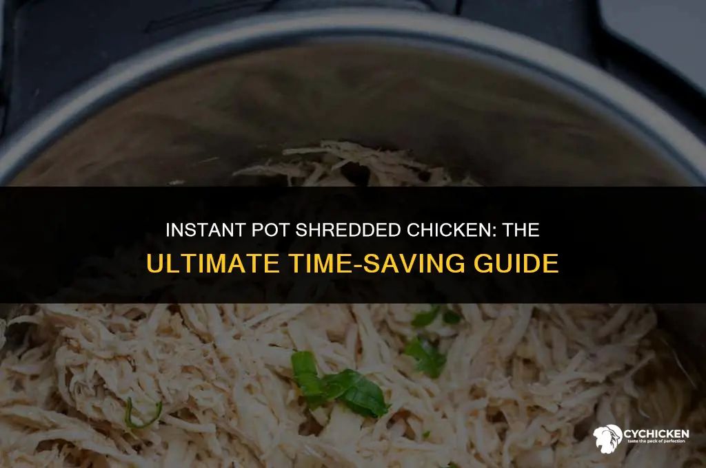 what setting to shred chicken in instant pot