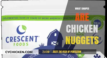 Exploring the Unique Shapes of Chicken Nuggets: A Tasty Geometry