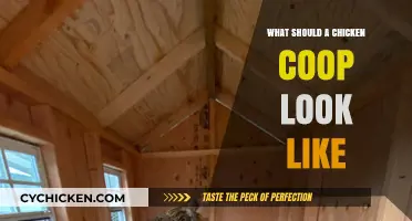 Designing the Perfect Chicken Coop: Essential Features for Happy Hens