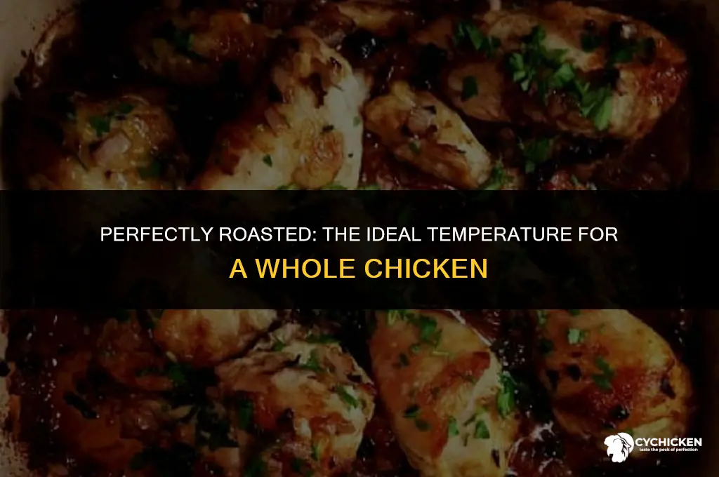 what should a whole chicken temp at