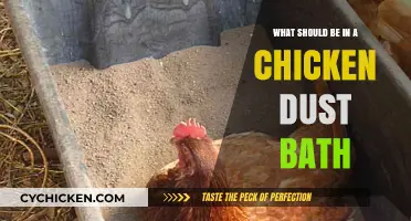 Essential Ingredients for a Healthy Chicken Dust Bath: A Guide