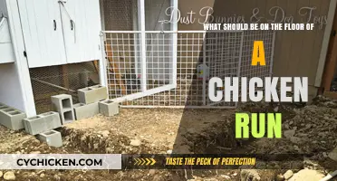 Chicken Run Flooring: What's Best for Your Birds?