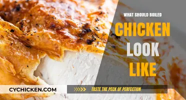 Perfectly Boiled Chicken: Appearance, Texture, and Cooking Tips Revealed