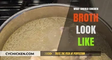 Clarity in Comfort: The Ideal Appearance of Chicken Broth