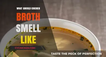 Unveiling the Aromatic Mysteries: What Should Chicken Broth Smell Like?