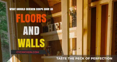 Building the Perfect Coop: Flooring and Walling Essentials for Happy Chickens