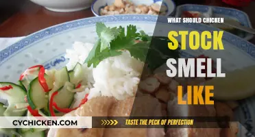 What Should Chicken Stock Smell Like? A Guide to Perfect Aromas