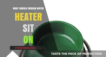 Ideal Base for Chicken Water Heater: Materials and Setup Tips