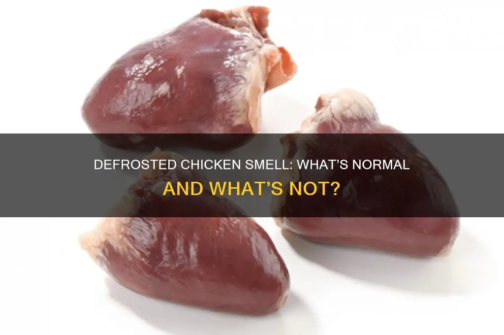 what should defrosted chicken smell like