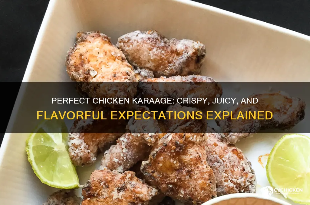 what should goo chicken karaage taste like
