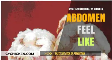 Understanding the Ideal Texture of a Healthy Chicken's Abdomen