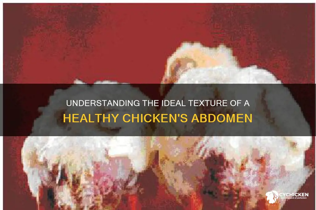 what should healthy chicken abdomen feel like