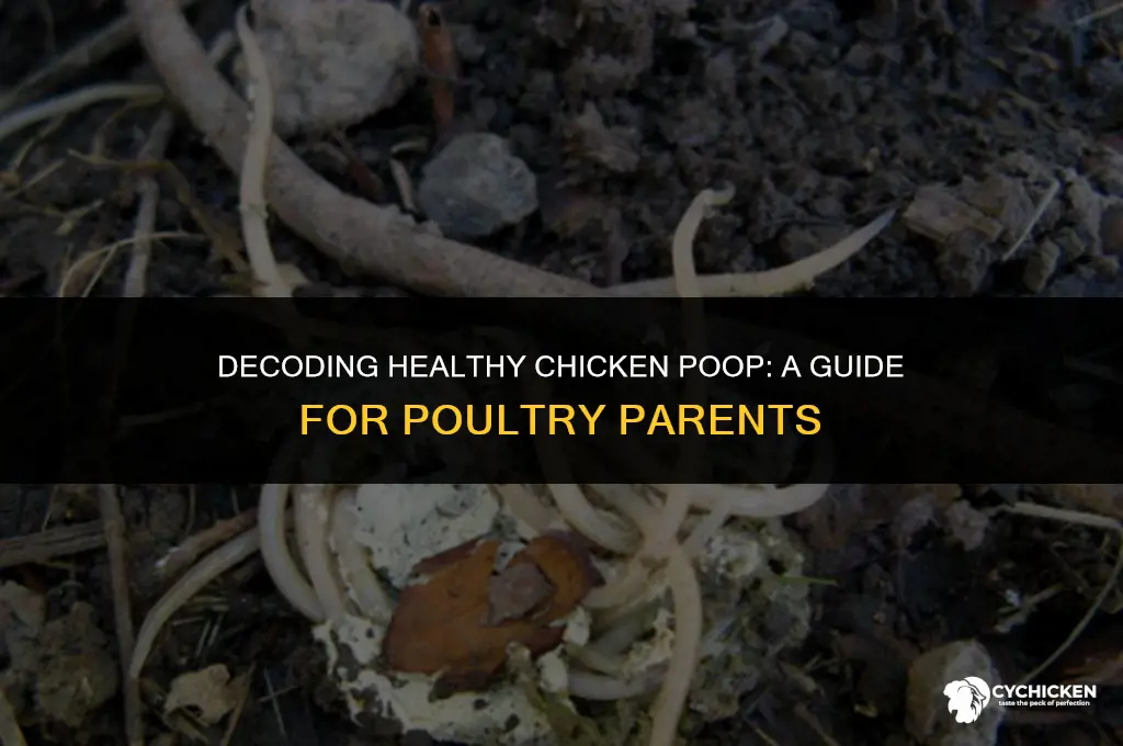 what should healthy chicken poop look like