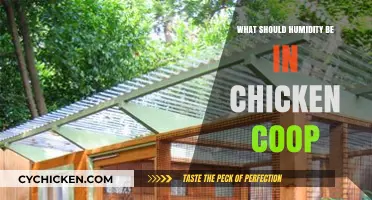 Optimal Humidity Levels for a Healthy Chicken Coop Environment