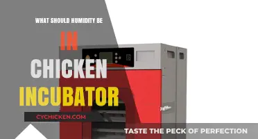 Optimal Humidity Levels for Successful Chicken Egg Incubation: A Guide