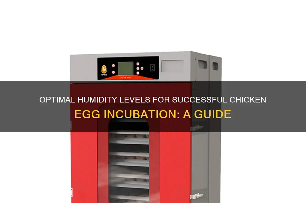 what should humidity be in chicken incubator