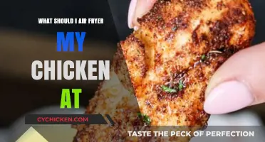 Perfect Air Fryer Chicken: Ideal Temperature and Time for Crispy Results