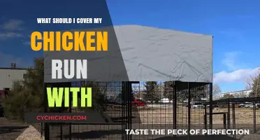 Best Covering Options for Your Chicken Run: Safety and Comfort Tips