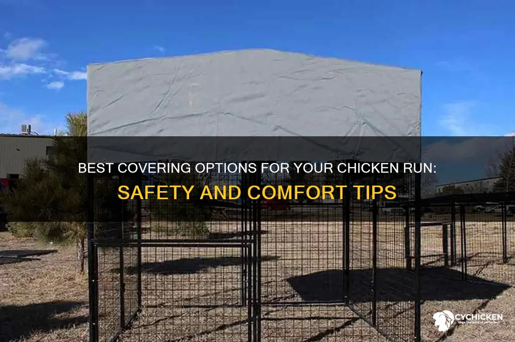 what should i cover my chicken run with