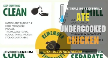How to Recover from Eating Undercooked Chicken