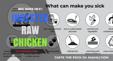 Urgent Steps: Raw Chicken Consumption