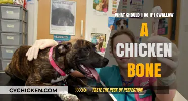 Immediate Actions to Take After Swallowing a Chicken Bone