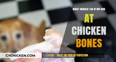Chicken Bone Emergency: Saving Your Dog
