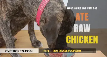 Raw Chicken Consumption: Keeping Your Dog Safe