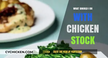 Creative Ways to Use Chicken Stock in Your Daily Cooking