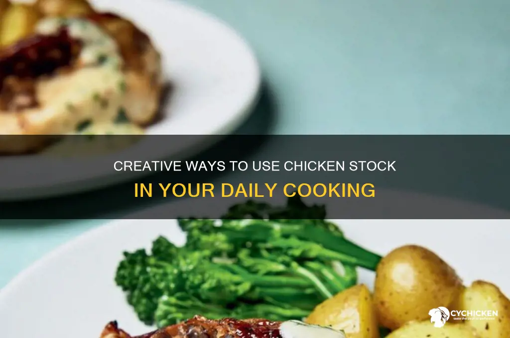what should i do with chicken stock