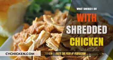 Creative Shredded Chicken Recipes: Delicious Ideas to Transform Your Leftovers