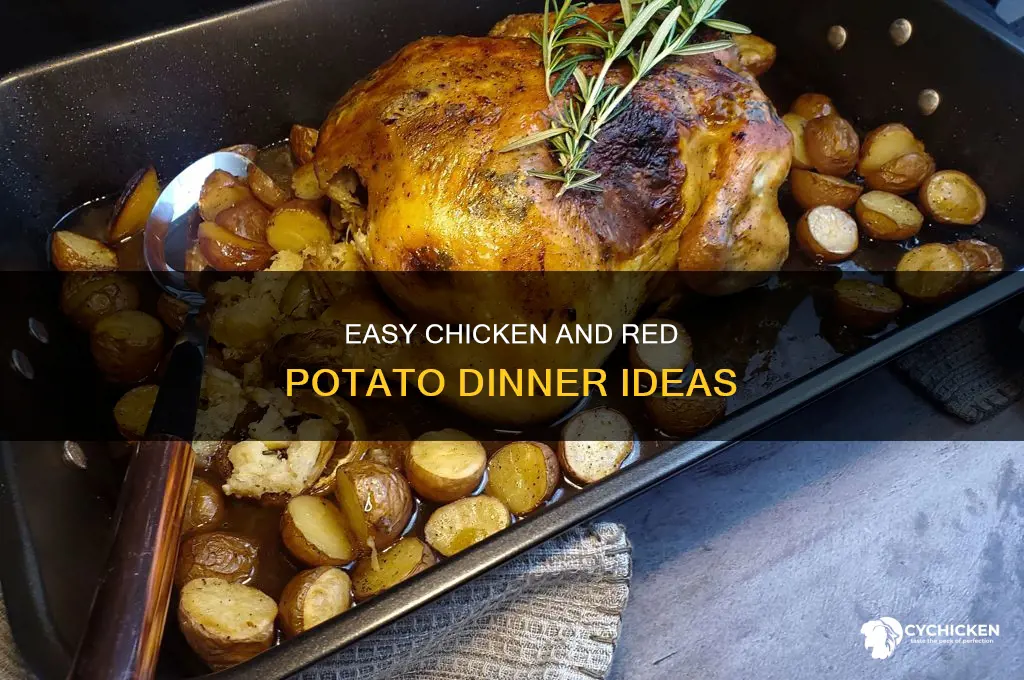 what should i made for dinner chicken red potatoes