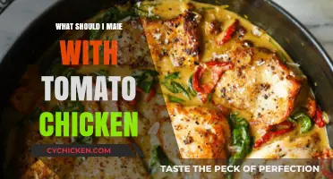 Delicious Tomato Chicken Recipes: Creative Ideas to Elevate Your Meal