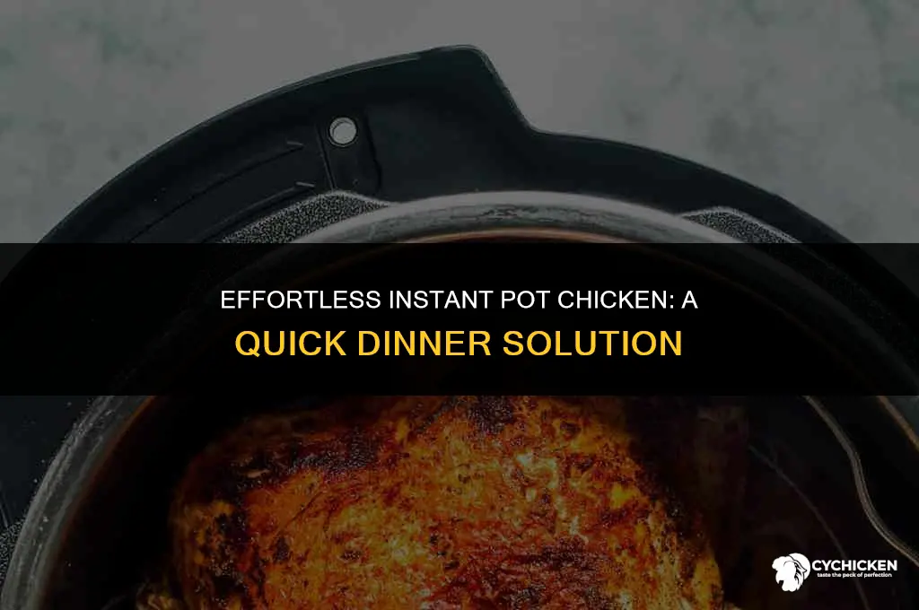 what should i make for dinner instant pot chicken