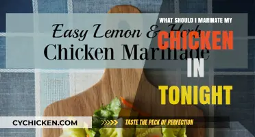 Delicious Chicken Marinade Ideas for Tonight's Perfect Dinner